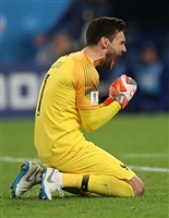 Hugo Lloris hoodie #3461617