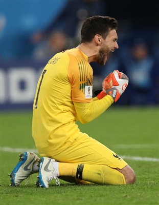 Hugo Lloris posters