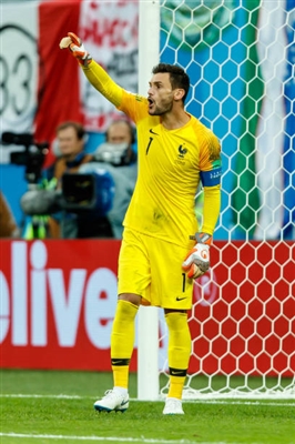 Hugo Lloris posters