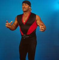 Hulk Hogan tote bag #G536117
