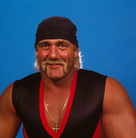 Hulk Hogan tote bag #G536118