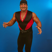 Hulk Hogan mug #G536119