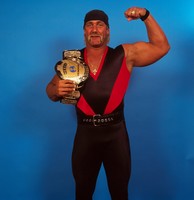 Hulk Hogan mug #G536121