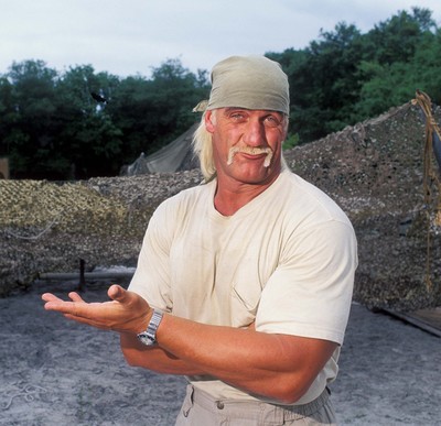 Hulk Hogan poster