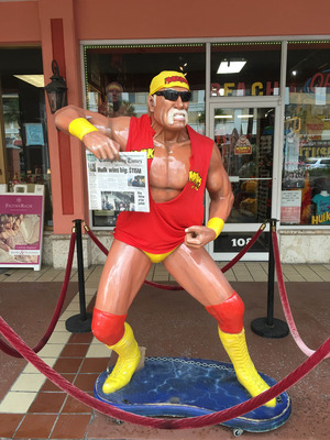 Hulk Hogan posters
