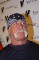 Hulk Hogan t-shirt #2641010