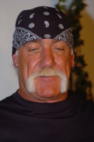 Hulk Hogan t-shirt #2641030