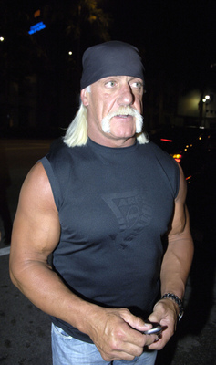 Hulk Hogan posters