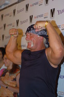 Hulk Hogan hoodie #2641094