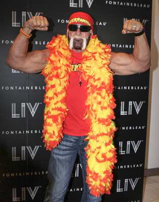 Hulk Hogan posters