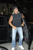 Hulk Hogan t-shirt #2641104