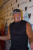 Hulk Hogan t-shirt #2641109