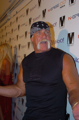 Hulk Hogan posters