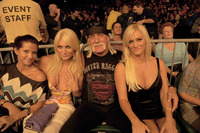 Hulk Hogan t-shirt #2641111