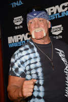 Hulk Hogan t-shirt #2641120