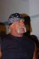 Hulk Hogan t-shirt #2641203