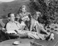 Humphrey Bogart mug #G821946