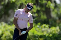 Ian Poulter hoodie #3491644