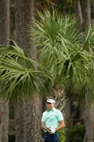 Ian Poulter t-shirt #3491650