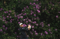 Ian Poulter hoodie #3491657