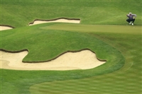 Ian Poulter hoodie #3491673