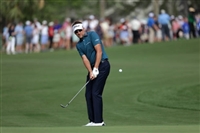 Ian Poulter hoodie #3491686