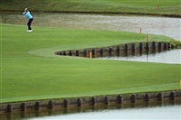 Ian Poulter longsleeve t-shirt #3491768