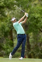 Ian Poulter mug #G1734020