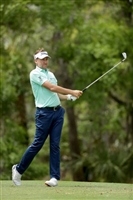 Ian Poulter hoodie #3491798