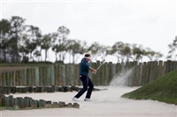 Ian Poulter Sweatshirt #3491844