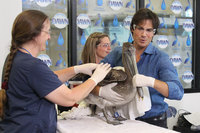 Ian Somerhalder mug #G1250566