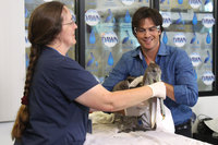 Ian Somerhalder Sweatshirt #3008772