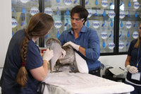 Ian Somerhalder Sweatshirt #3008834