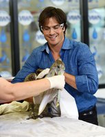 Ian Somerhalder Tank Top #3008883
