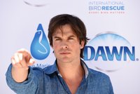 Ian Somerhalder mug #G1251059