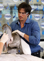 Ian Somerhalder Longsleeve T-shirt #3009049
