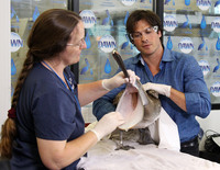 Ian Somerhalder Sweatshirt #3009251