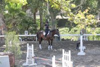 Iggy Azalea tote bag #G1454025