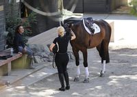 Iggy Azalea tote bag #G1454031