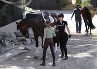 Iggy Azalea tote bag #G1454058