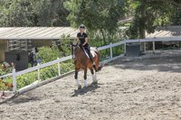 Iggy Azalea Sweatshirt #3211979