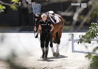 Iggy Azalea longsleeve t-shirt #3212022