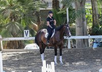 Iggy Azalea longsleeve t-shirt #3212037