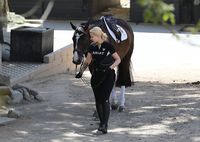 Iggy Azalea Sweatshirt #3212062