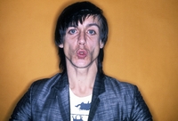 Iggy Pop t-shirt #2205958