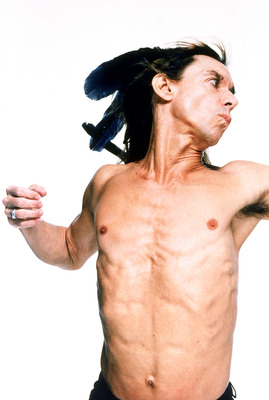 Iggy Pop Poster 2659203