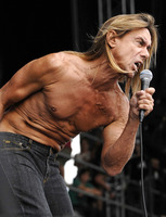 Iggy Pop t-shirt #2659204