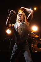 Iggy Pop mug #G901330