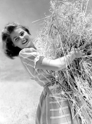 Ingrid Bergman posters