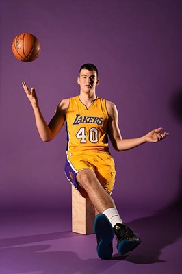 Ivica Zubac stickers 3460157